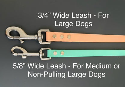 Handmade BioThane® Dog Leash with Stainless Steel Hardware