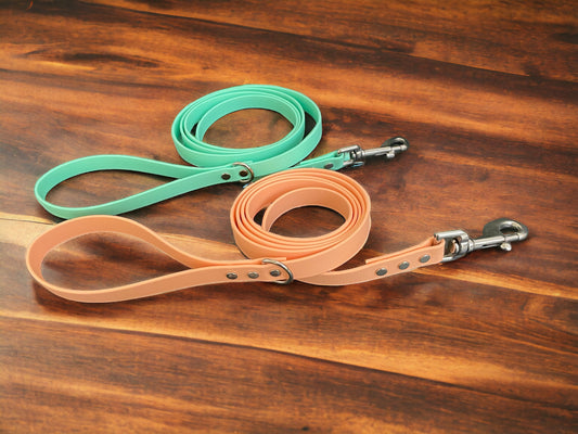 Handmade BioThane® Dog Leash with Stainless Steel Hardware