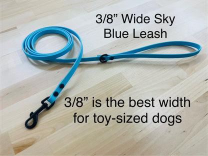 Handmade BioThane® Dog Leash with Black Hardware