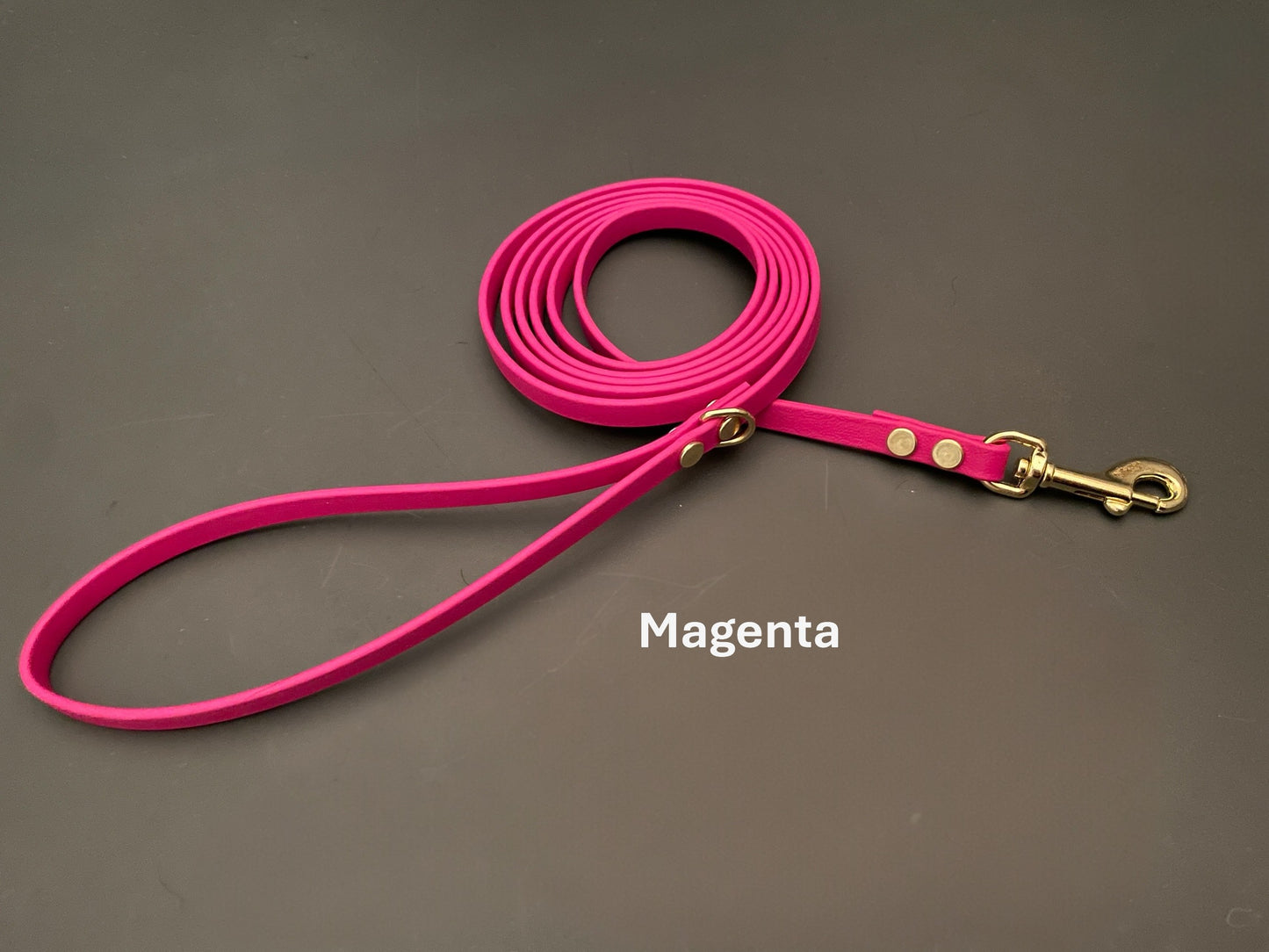 3/8" Wide BioThane® Leash for Toy-Sized Dogs