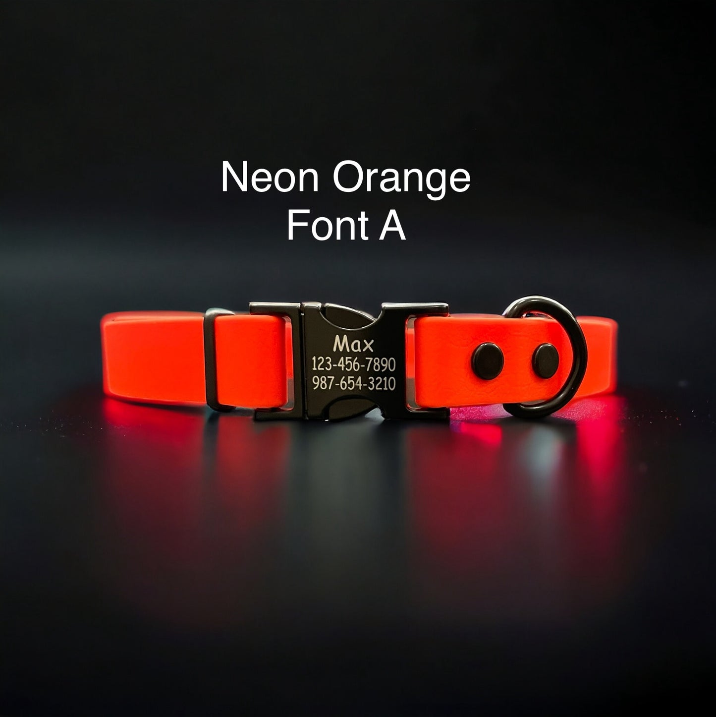 **CLEARANCE** BioThane® Dog Collar with Engraved Black Metal Buckle