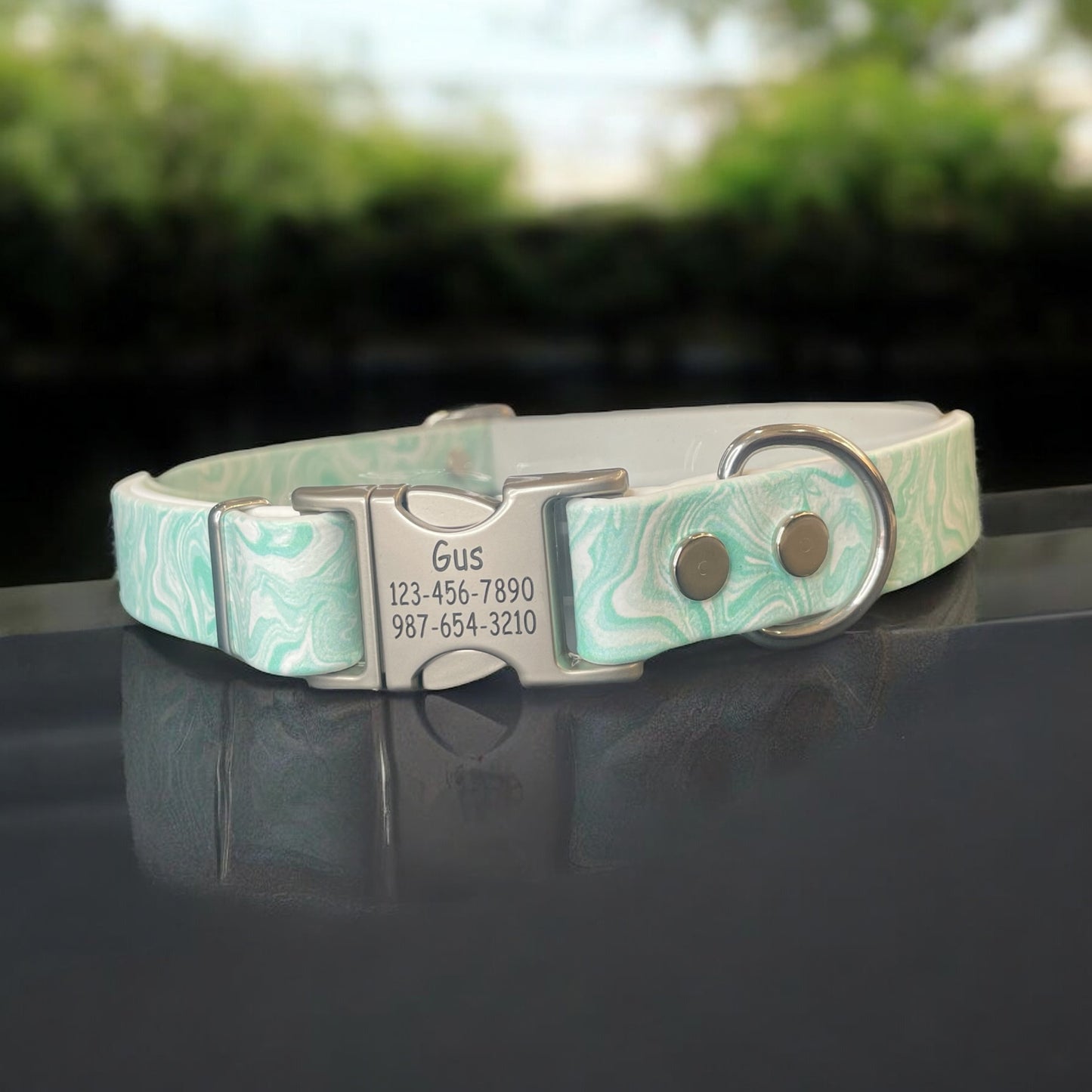Patterned BioThane® Dog Collar with Engraved Silver Quick-Release Buckle