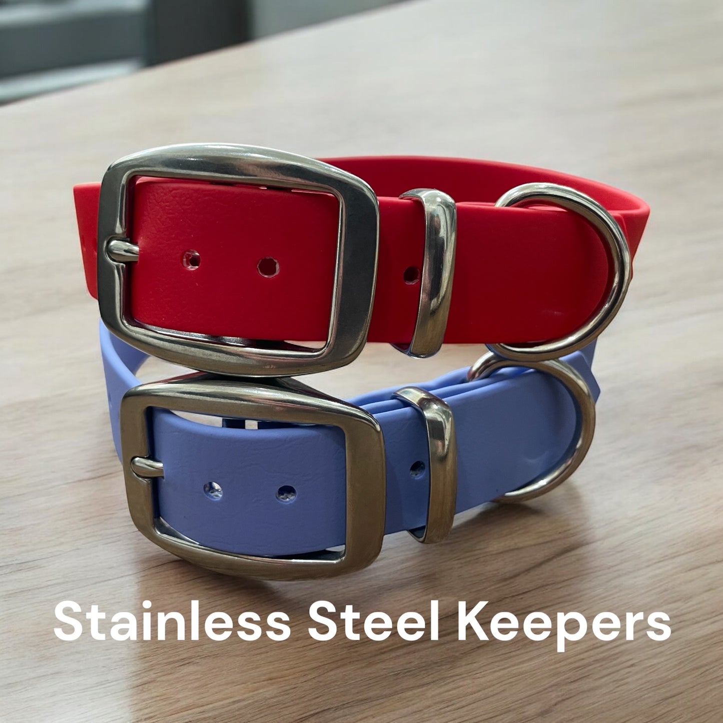 BioThane® Dog Collar with Stainless Steel Buckle