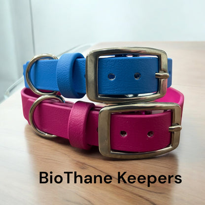 BioThane® Dog Collar with Stainless Steel Buckle