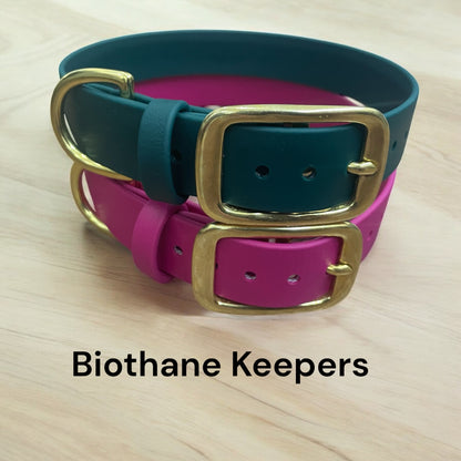 BioThane® Dog Collar with Solid Brass Buckle