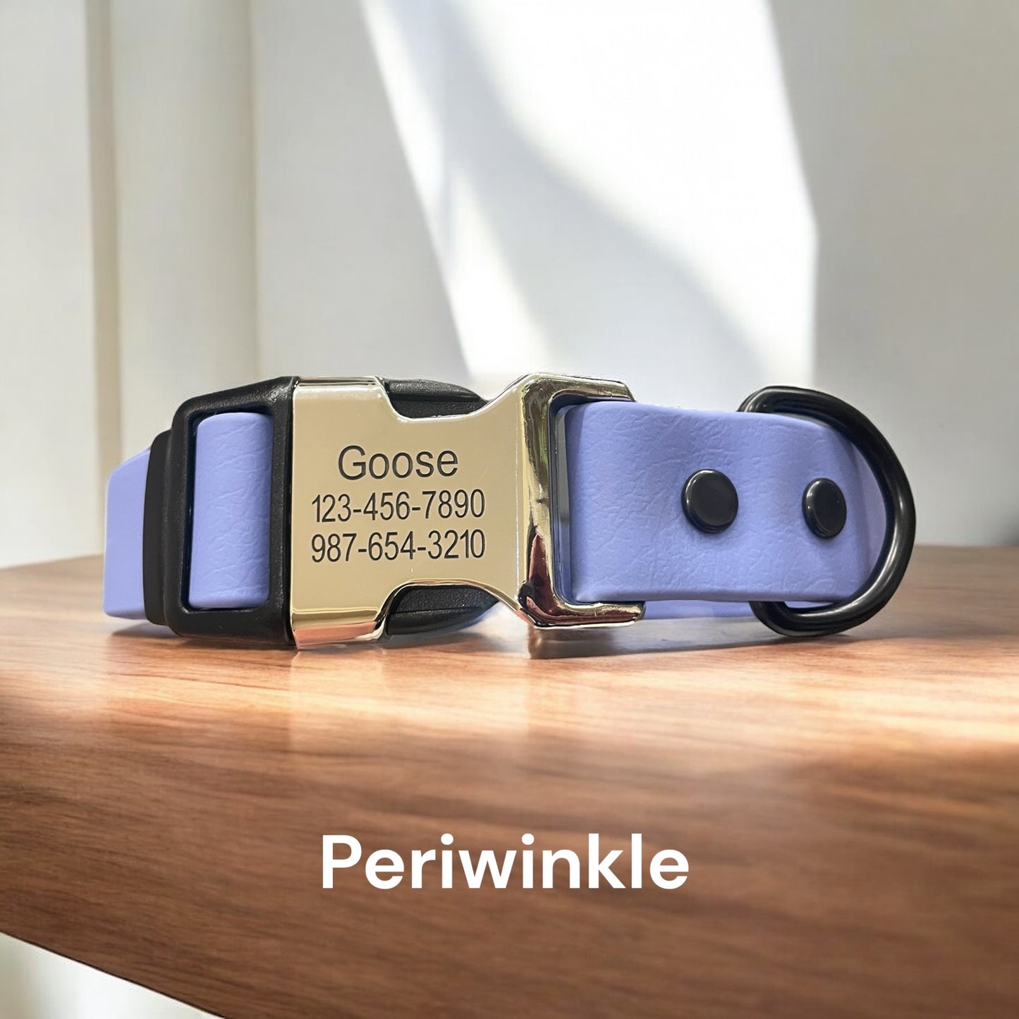 BioThane® Dog Collar with Engraved Metal/Plastic Side Release Buckle