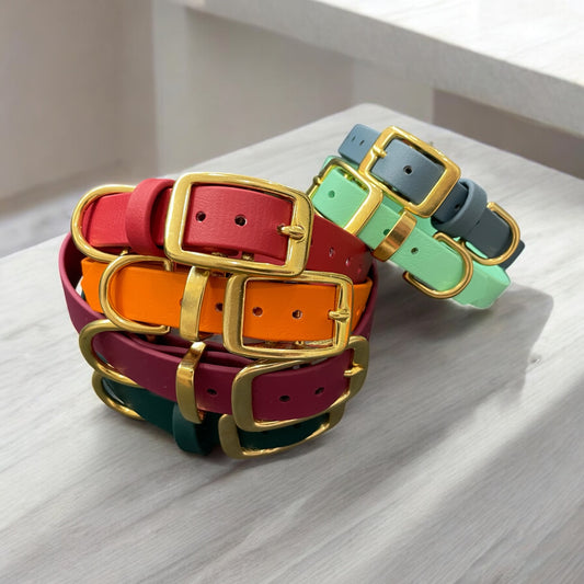 BioThane® Dog Collar with Solid Brass Buckle
