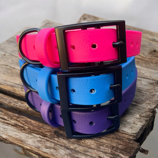 3/4" Wide BioThane® Dog Collar with Black Buckle