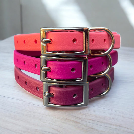 3/8" Wide BioThane® Dog Collar with Silver Buckle for Toy-Sized Dogs