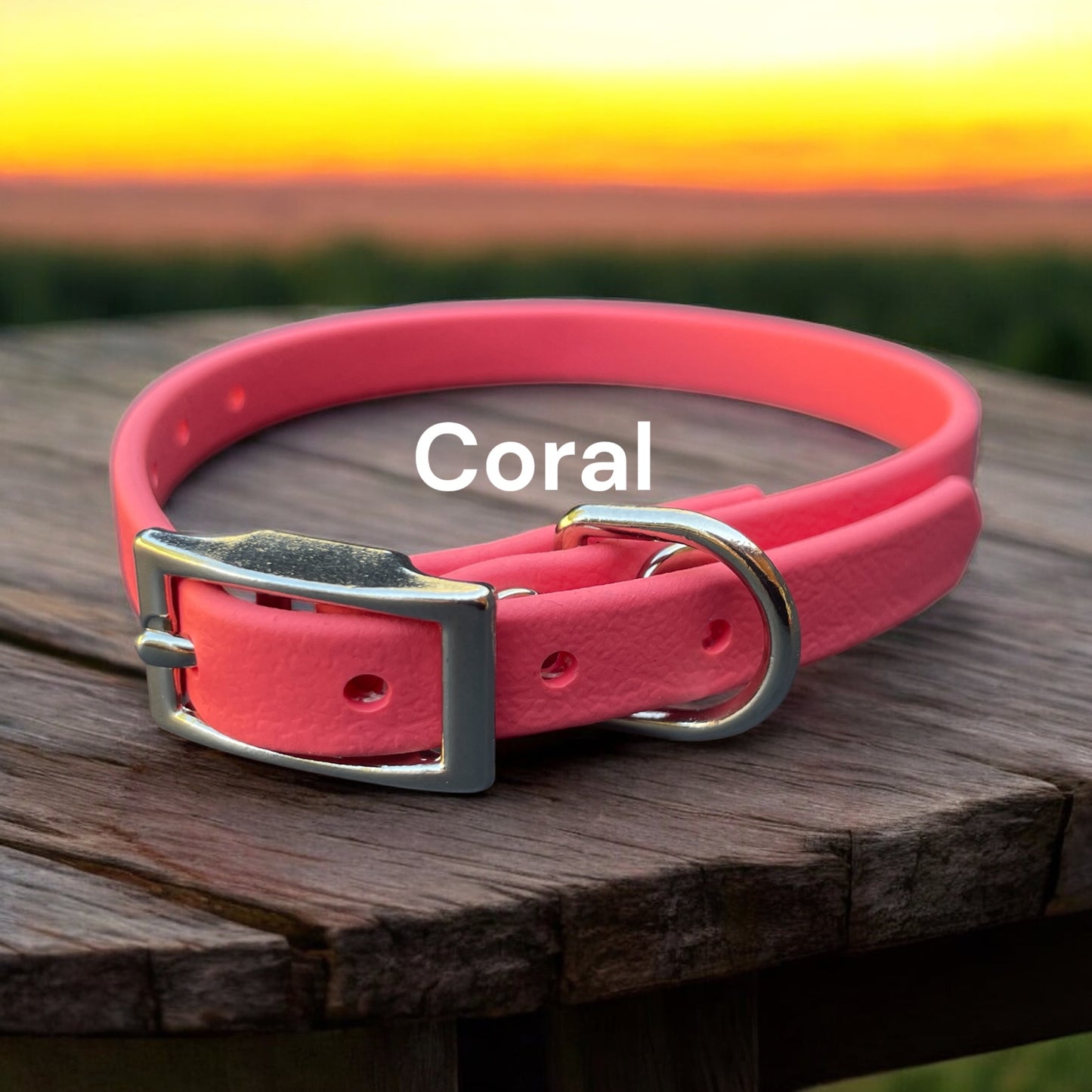 3/8" Wide BioThane® Dog Collar with Silver Buckle for Toy-Sized Dogs