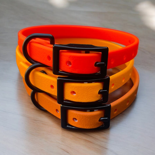 3/8" Wide BioThane® Dog Collar with Black Buckle for Toy-Sized Dogs
