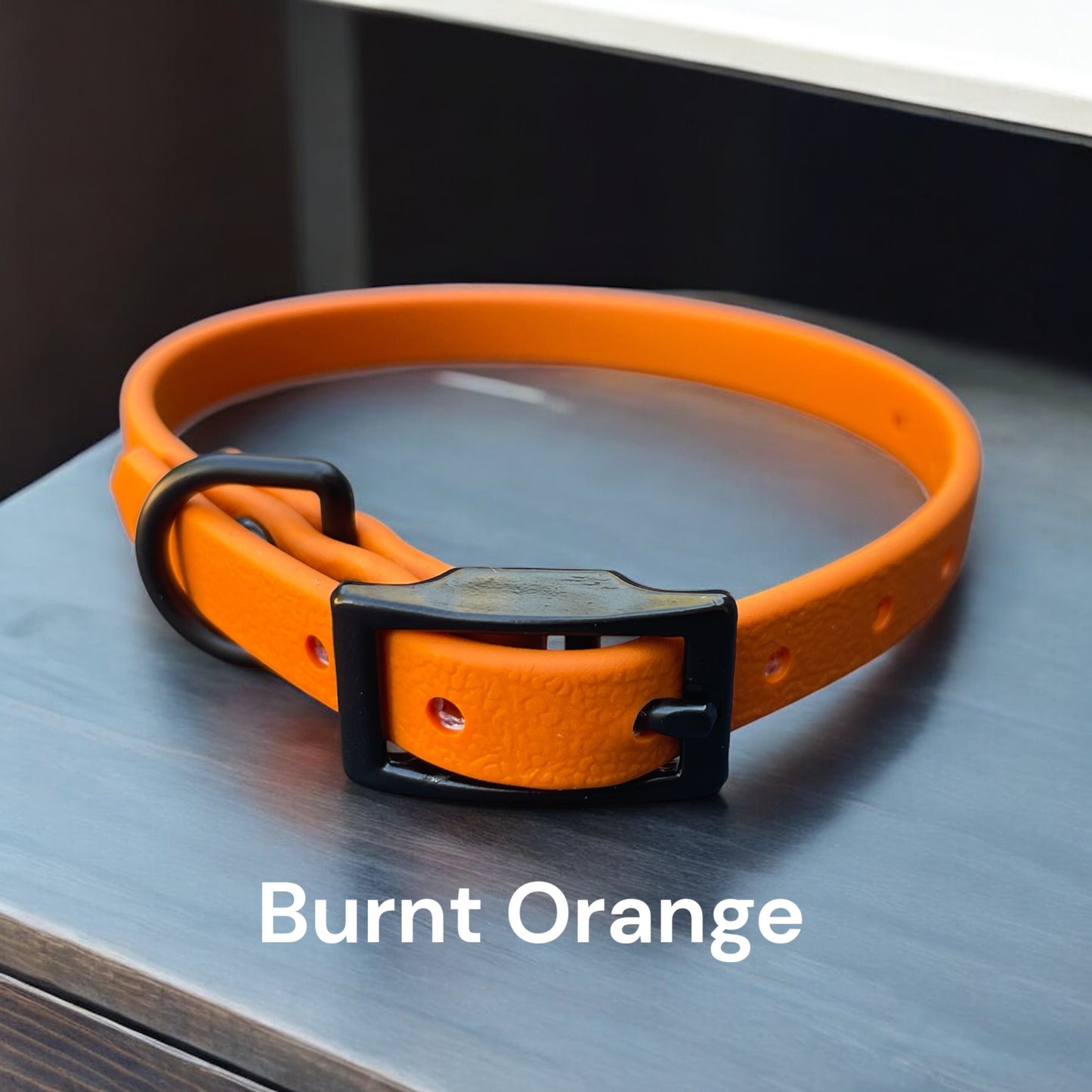 3/8" Wide BioThane® Dog Collar with Black Buckle for Toy-Sized Dogs