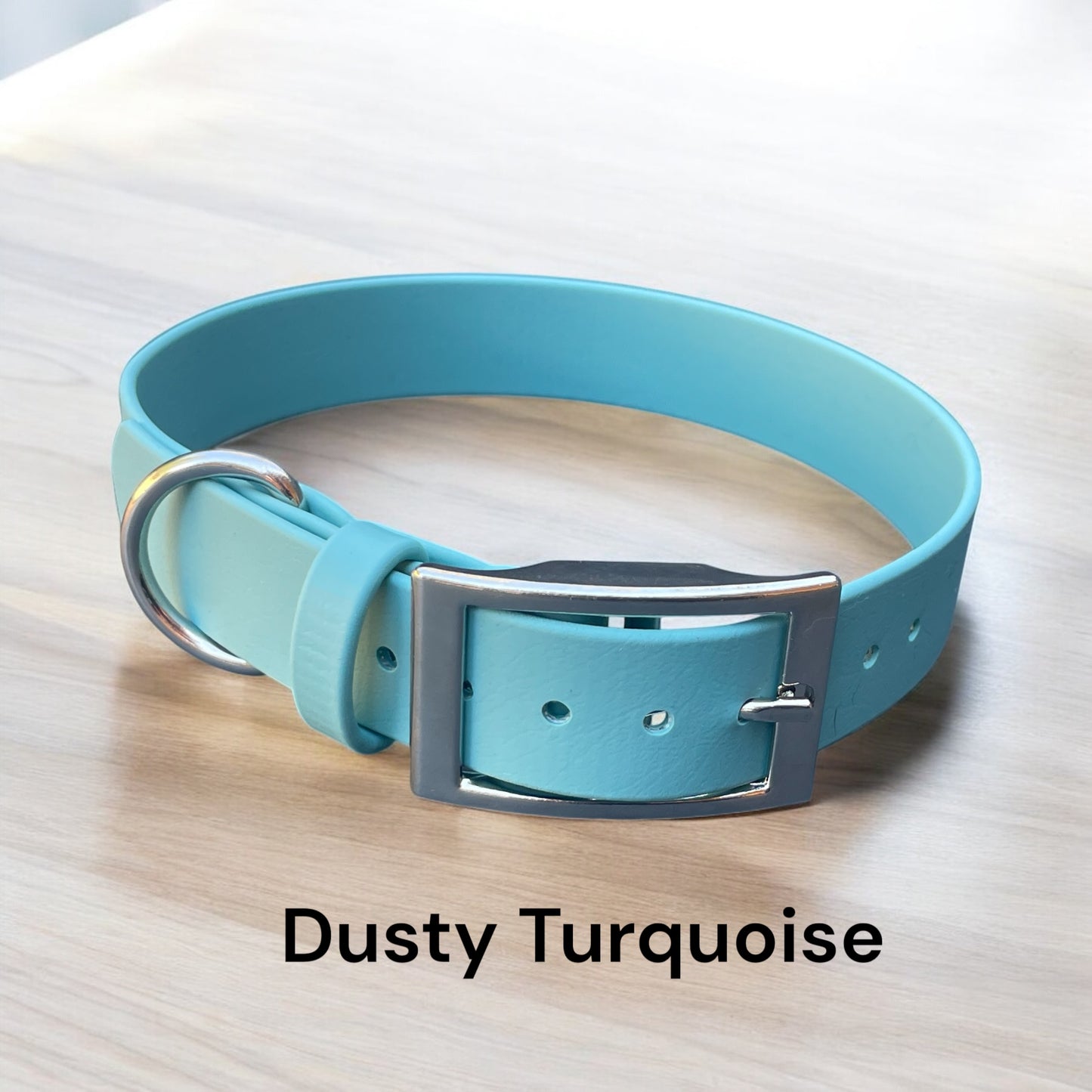 1" Wide BioThane® Dog Collar with Silver Buckle