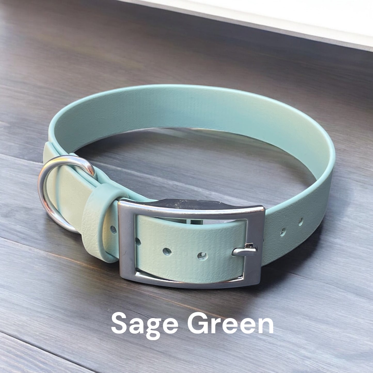 1" Wide BioThane® Dog Collar with Silver Buckle