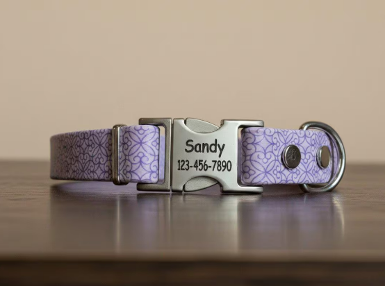 3/4" Wide BioThane® Dog Collar with Engraved Silver Quick-Release Buckle