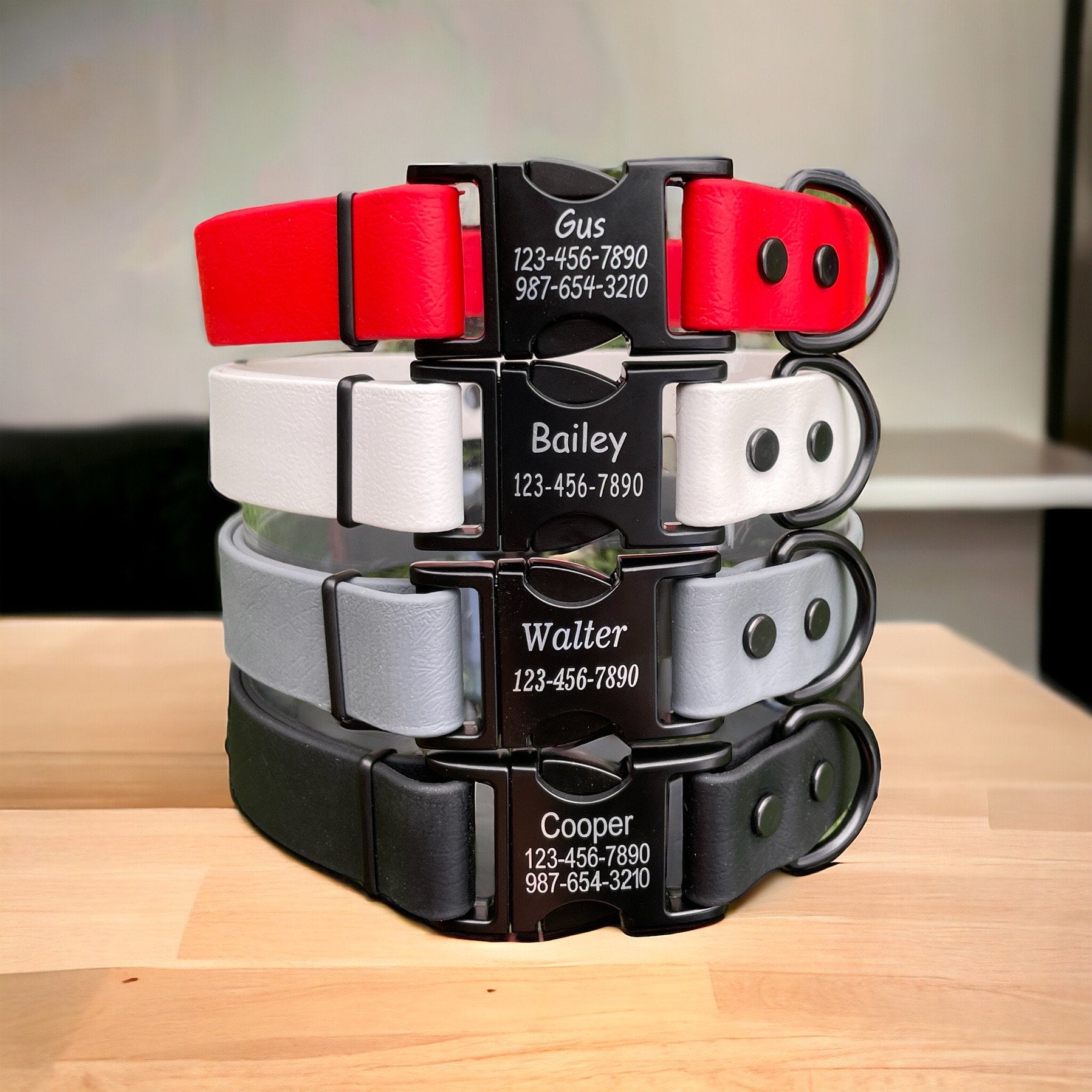 CLEARANCE** 1" Wide BioThane® Dog Collar with Engraved Black Metal Buckle