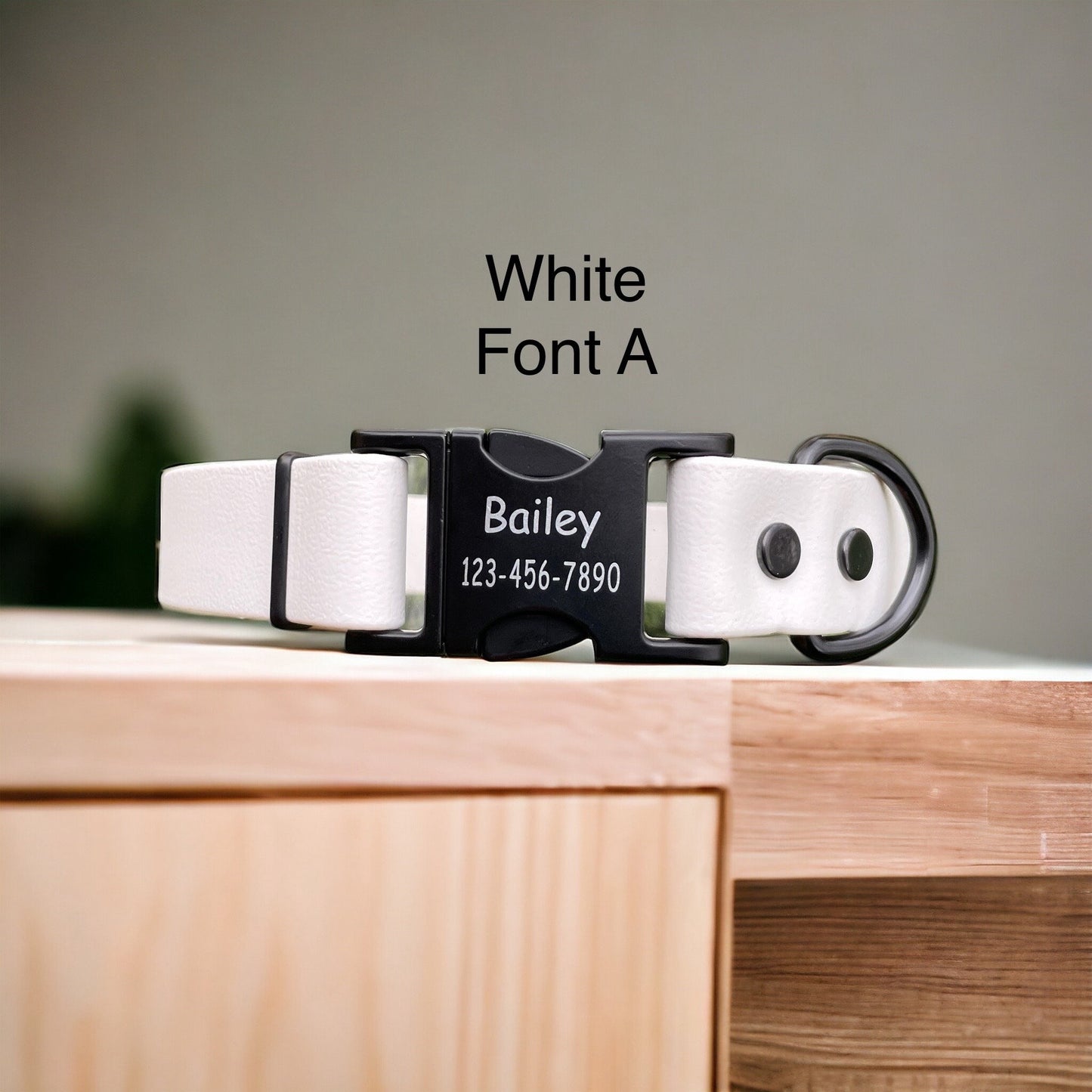 CLEARANCE** 1" Wide BioThane® Dog Collar with Engraved Black Metal Buckle