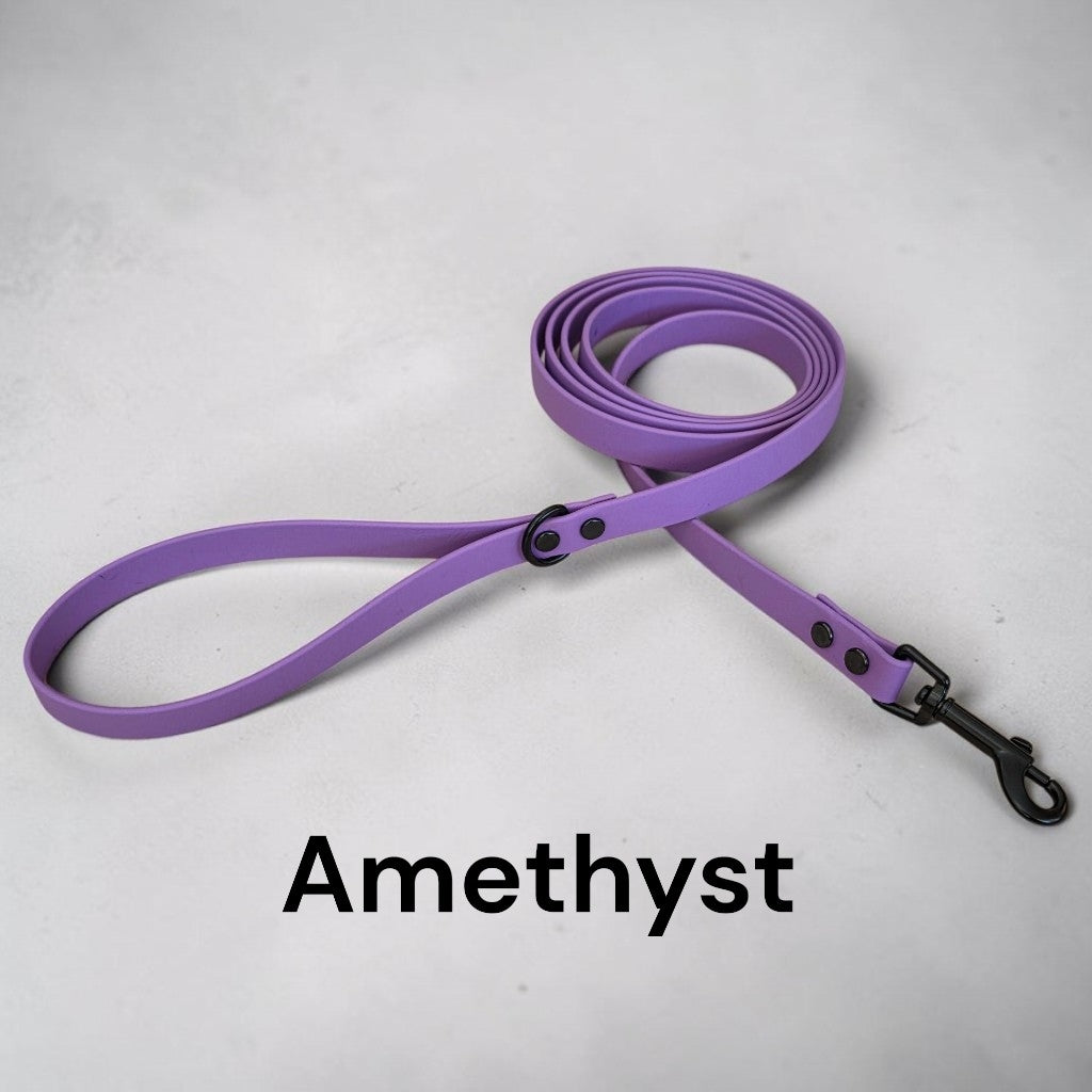 5/8" Wide BioThane® Leash
