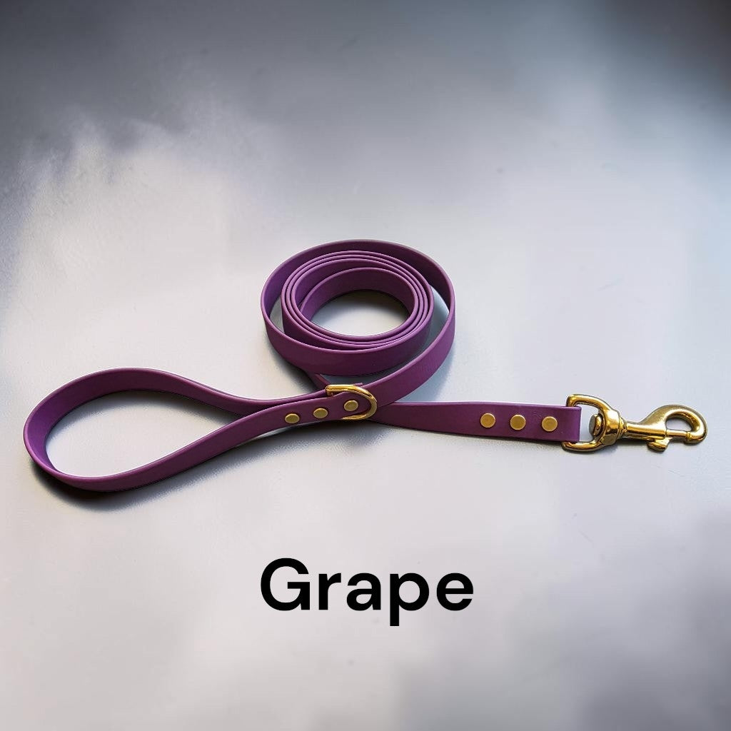 3/4" Wide BioThane® Dog Leash with Solid Brass Hardware for Large Dogs