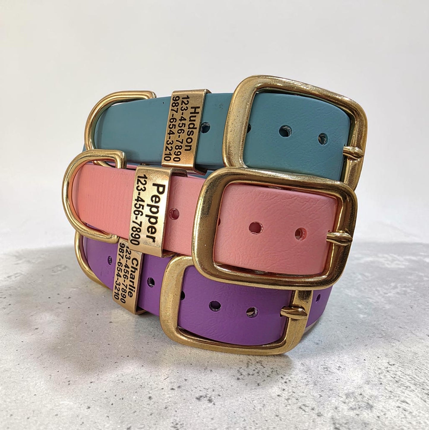 3/4" and 1" Wide Personalized BioThane Dog Collar with Engraved Solid Brass Keeper
