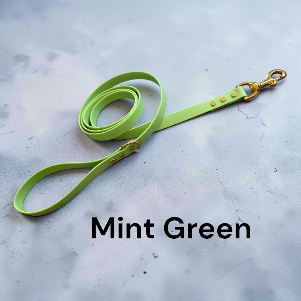 3/4" Wide BioThane® Dog Leash with Solid Brass Hardware for Large Dogs