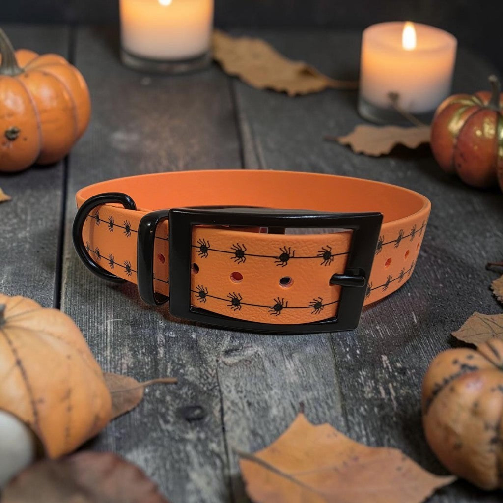 Seasonal Collar Deal - 1" Wide BioThane® Dog Collar with Black Buckle