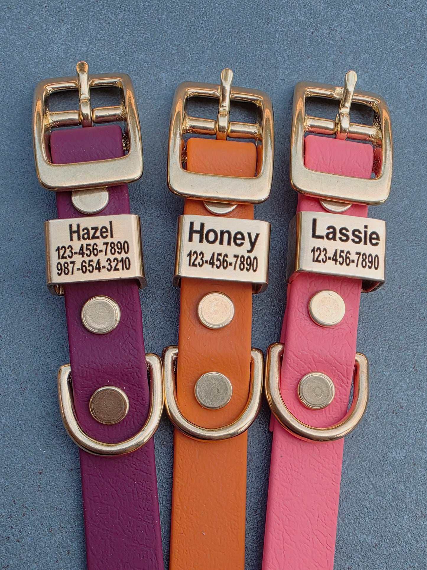 5/8" Wide Personalized BioThane Dog Collar with Engraved Solid Brass Keeper