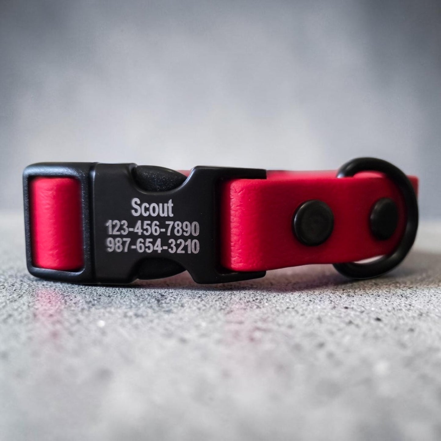 5/8" Wide Personalized Quick-Release BioThane® Dog Collar for Small Dogs