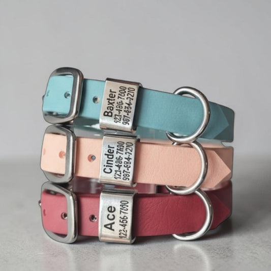 5/8" Wide Personalized BioThane Dog Collar with Engraved Stainless Steel Keeper