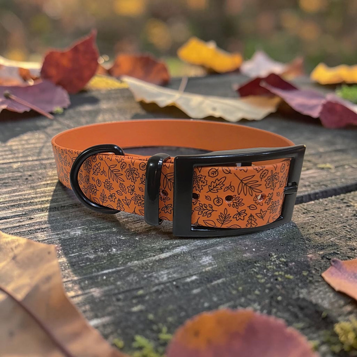 Seasonal Collar Deal - 1" Wide BioThane® Dog Collar with Black Buckle