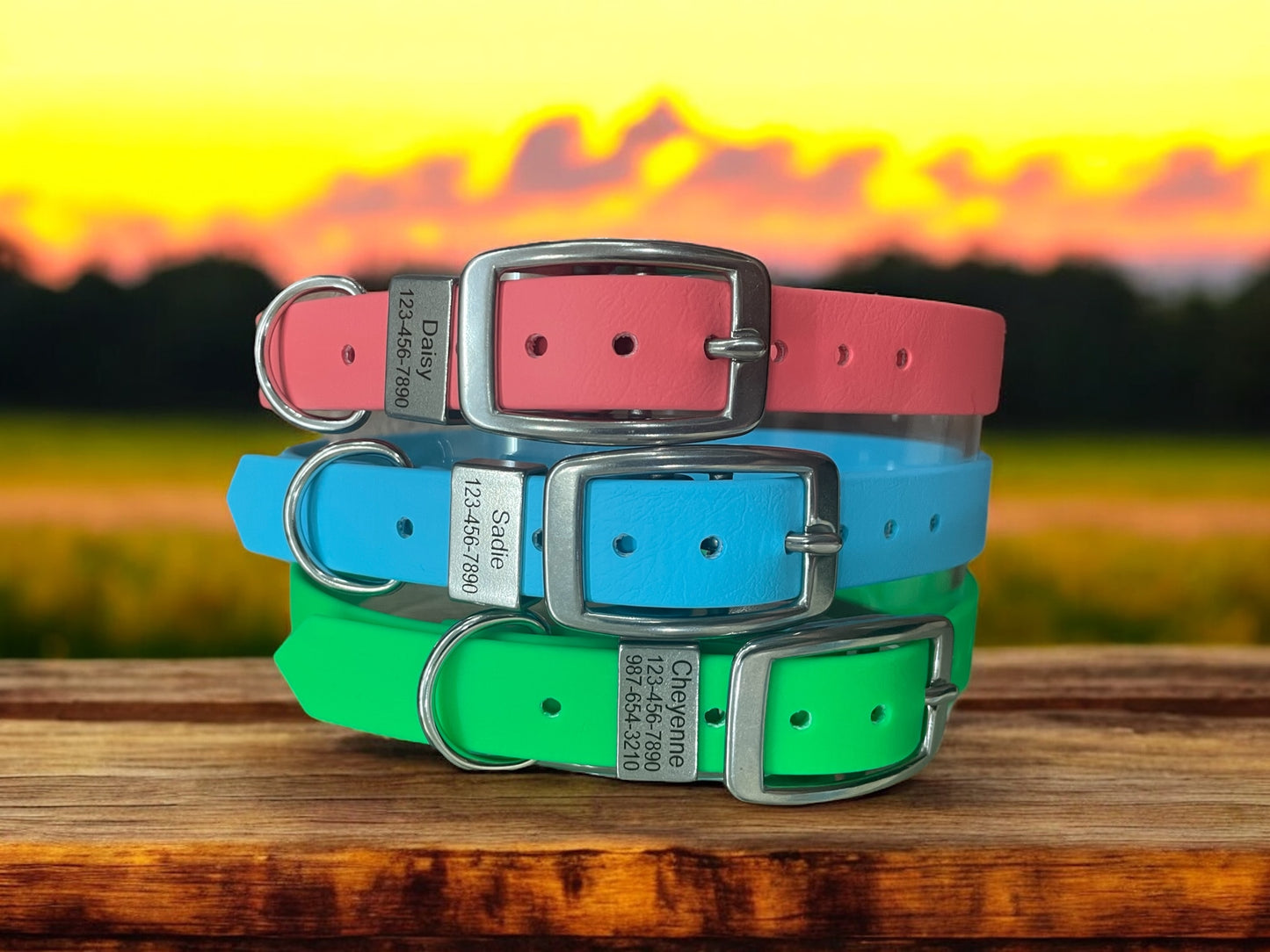 CLEARANCE** 3/4" Personalized BioThane Dog Collar with Engraved Stainless Steel Keeper
