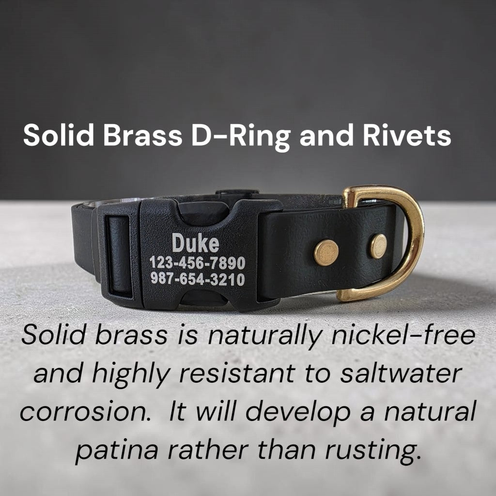 1" Wide BioThane® Dog Collar with Engraved Plastic Side Release Buckle