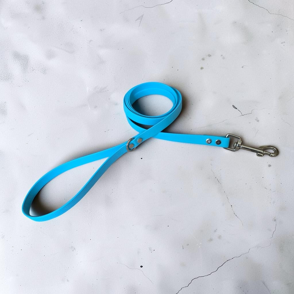 5/8" Wide BioThane® Dog Leash with Stainless Steel Hardware for Medium-Sized Dogs