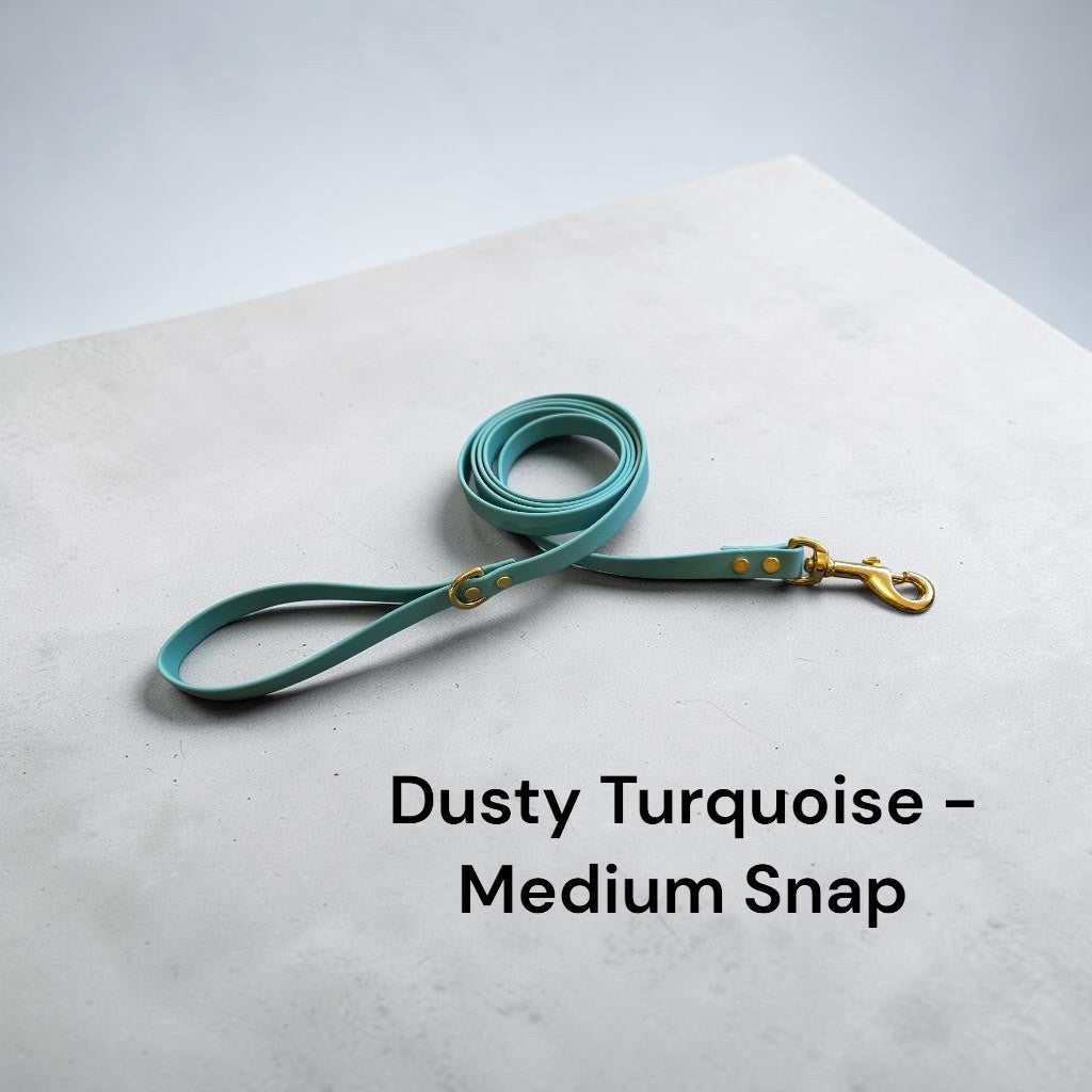 5/8" Wide BioThane® Dog Leash with Solid Brass Hardware for Small and Medium-Sized Dogs