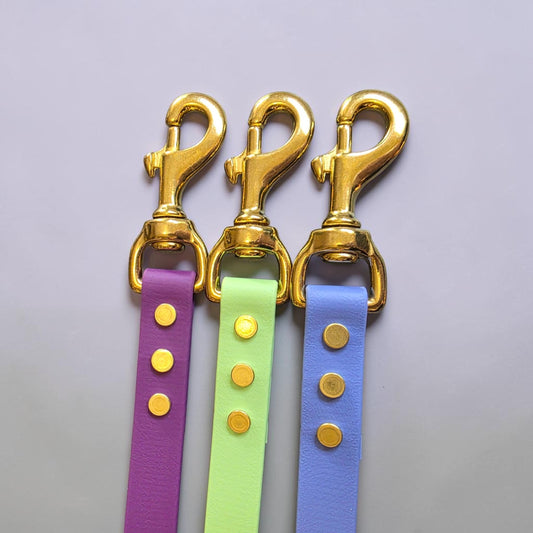 3/4" Wide BioThane® Dog Leash with Solid Brass Hardware for Large Dogs