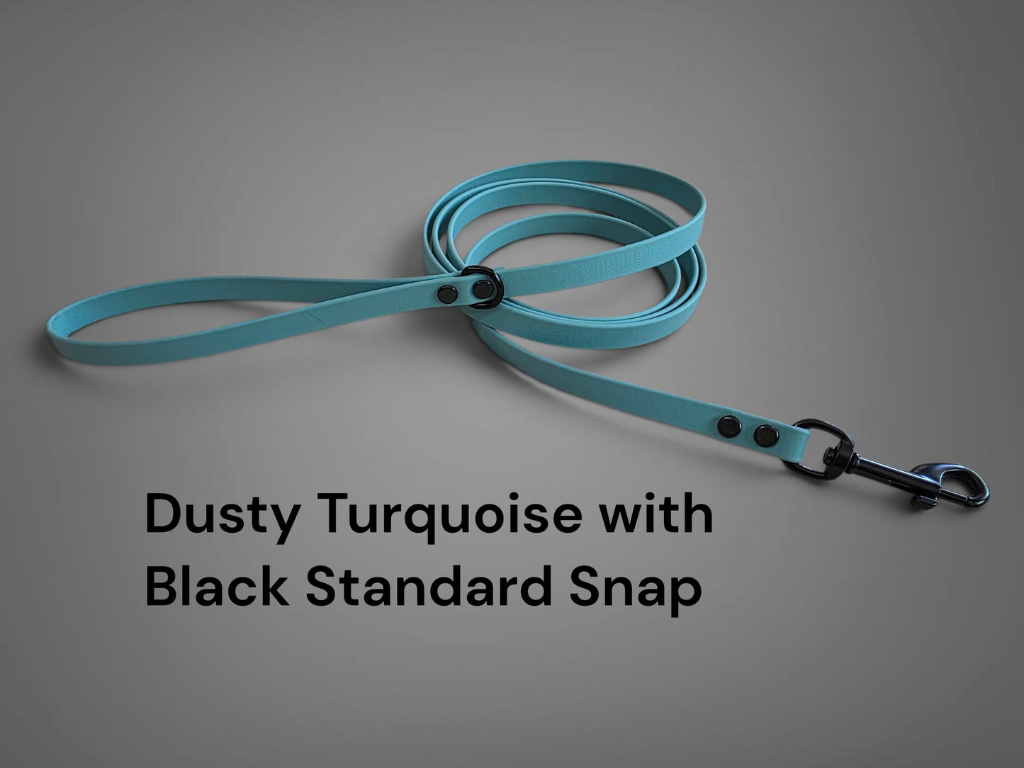 BEST PRICE** 1/2" Wide BioThane® Dog Leash for Medium-Sized Dogs