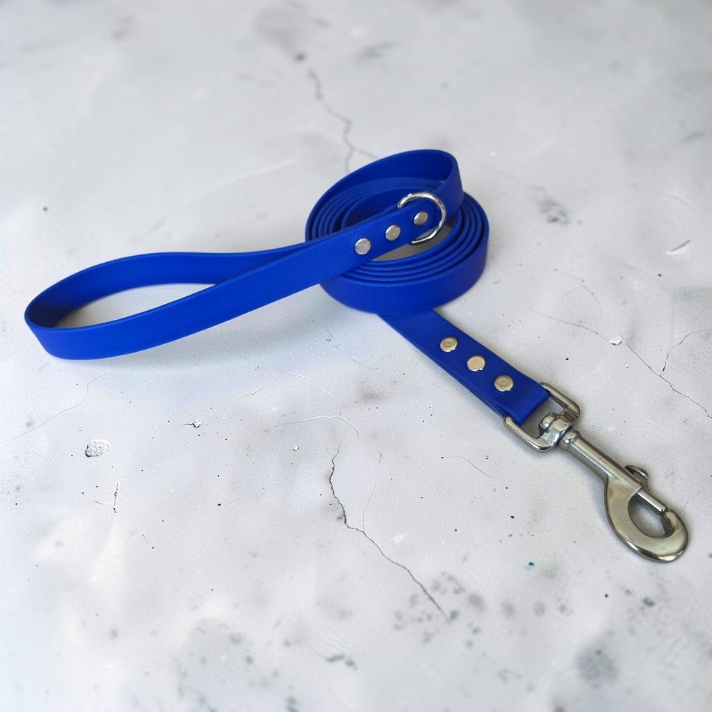 3/4" Wide BioThane® Dog Leash with Stainless Steel Hardware for Large Dogs