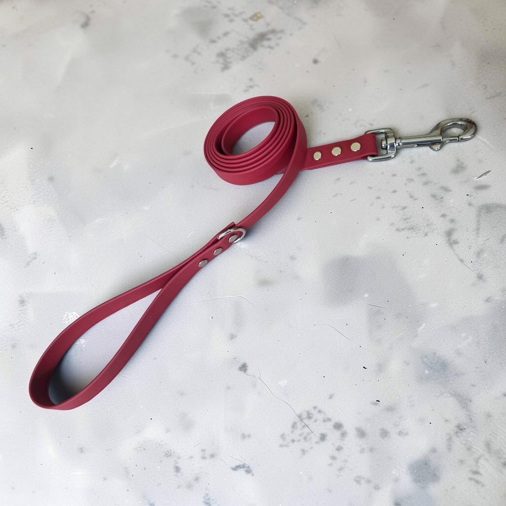 3/4" Wide BioThane® Dog Leash with Stainless Steel Hardware for Large Dogs