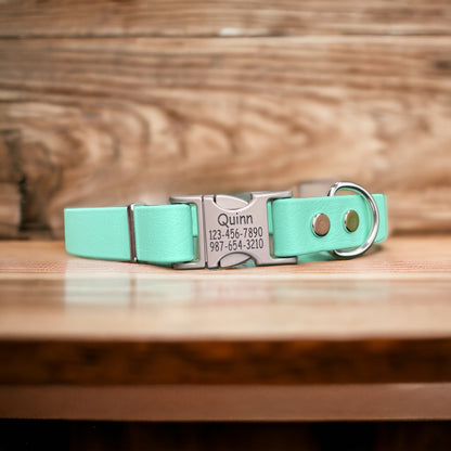 3/4" Wide BioThane® Dog Collar with Engraved Silver Quick-Release Buckle (Copy)