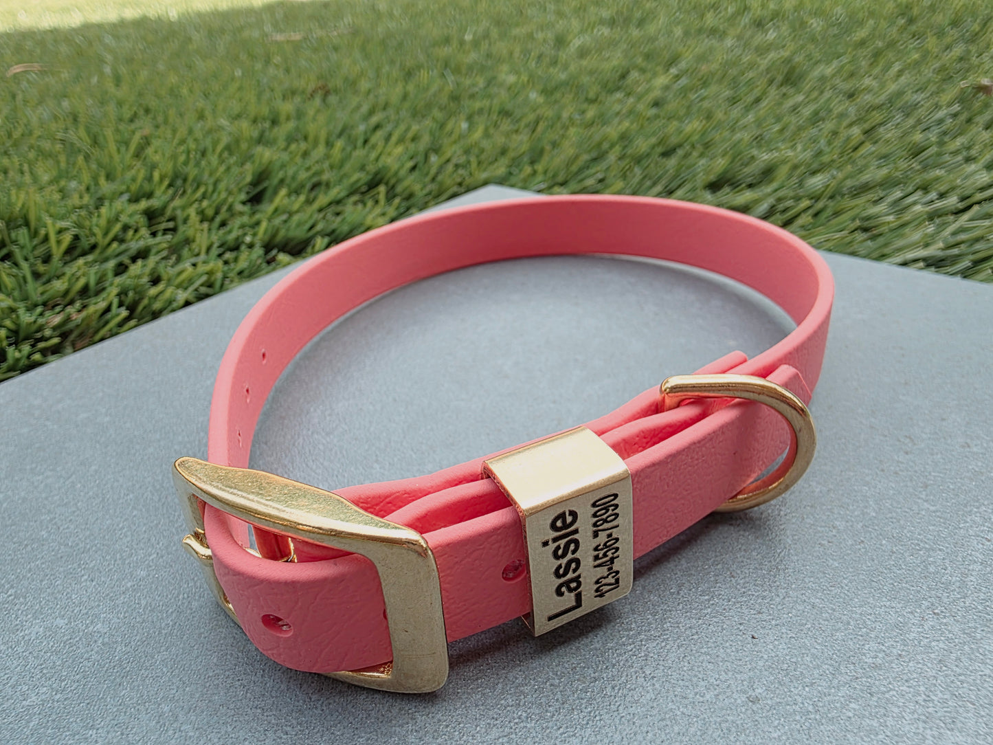 5/8" Wide Personalized BioThane Dog Collar with Engraved Solid Brass Keeper