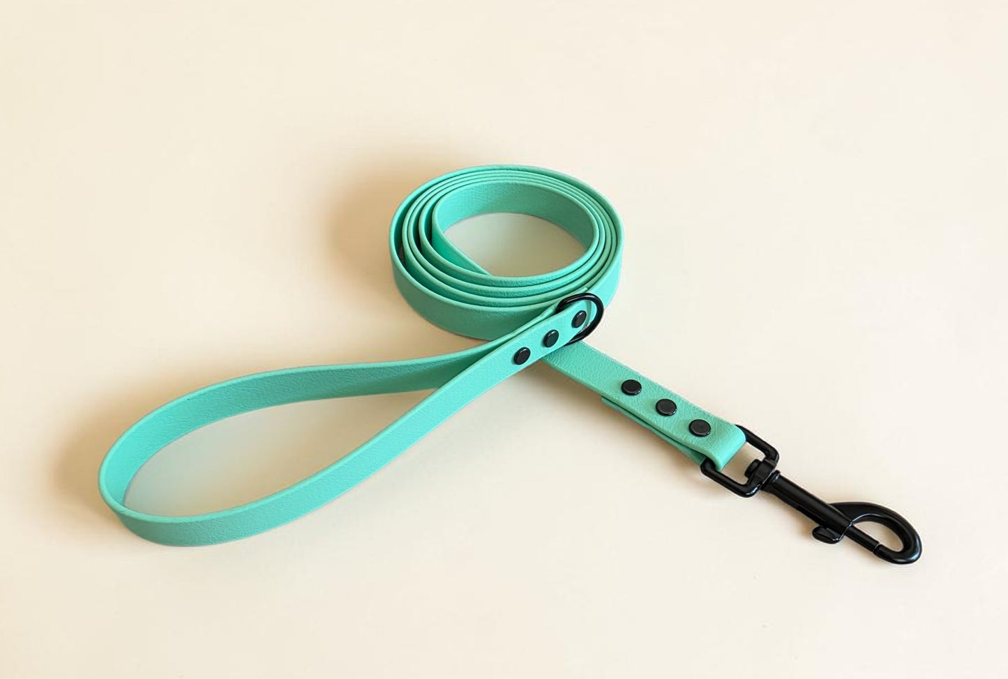 CLEARANCE**3/4" Wide BioThane® Leash for Medium-Sized Dogs