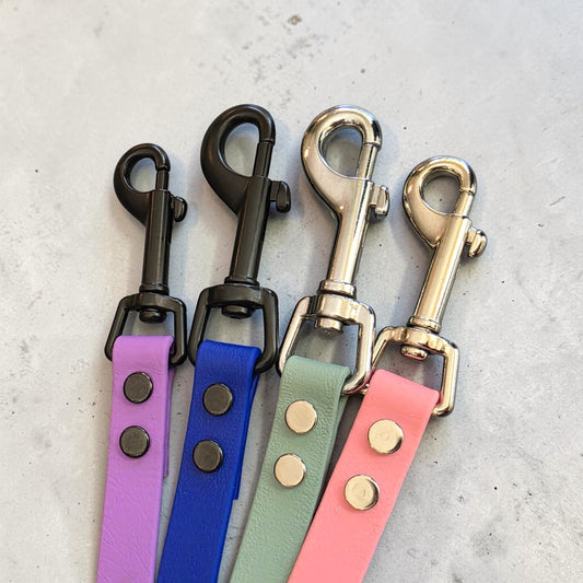 5/8" Wide BioThane® Leash