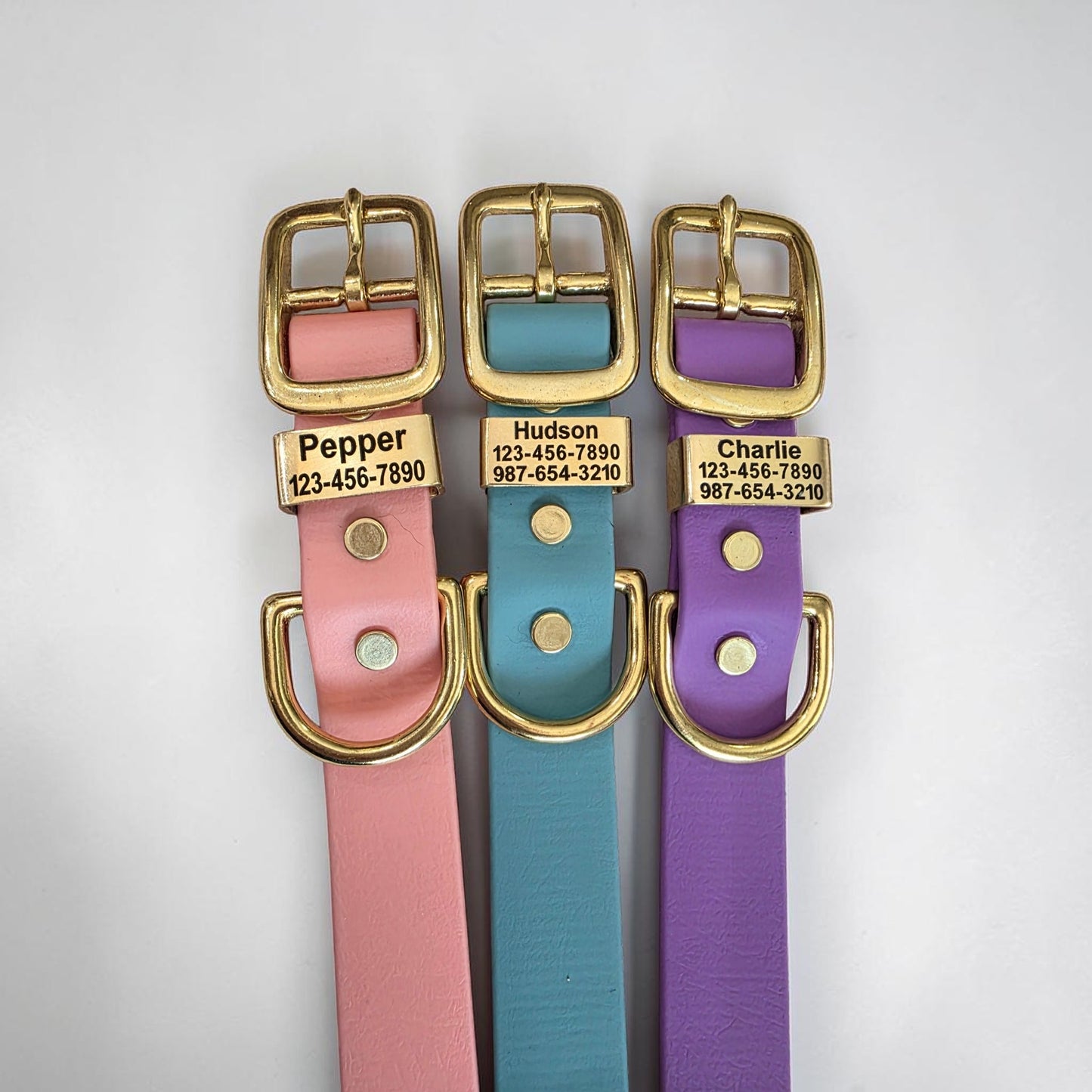 3/4" and 1" Wide Personalized BioThane Dog Collar with Engraved Solid Brass Keeper