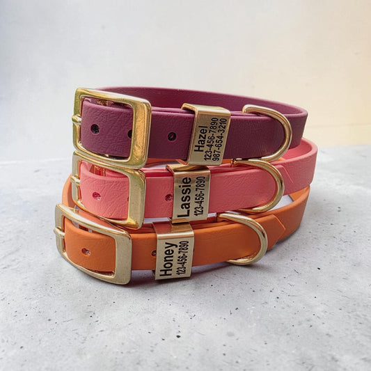 5/8" Wide Personalized BioThane Dog Collar with Engraved Solid Brass Keeper