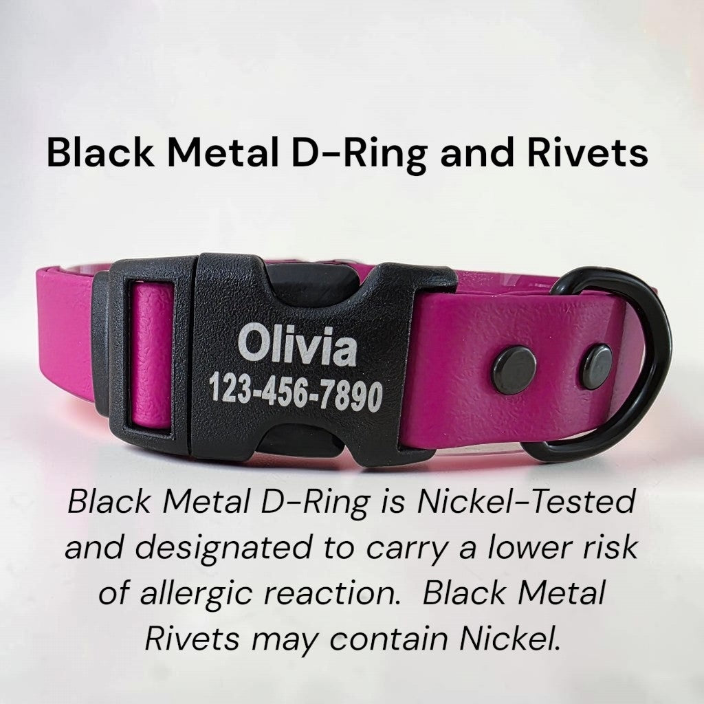 1" Wide BioThane® Dog Collar with Engraved Plastic Side Release Buckle