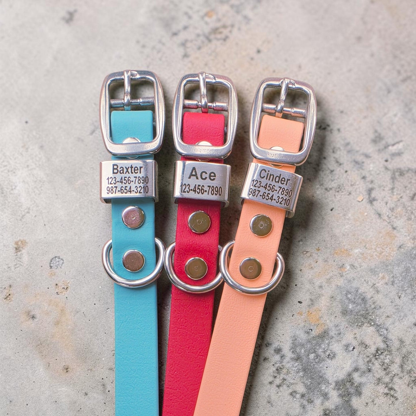 5/8" Wide Personalized BioThane Dog Collar with Engraved Polished Stainless Steel Keeper