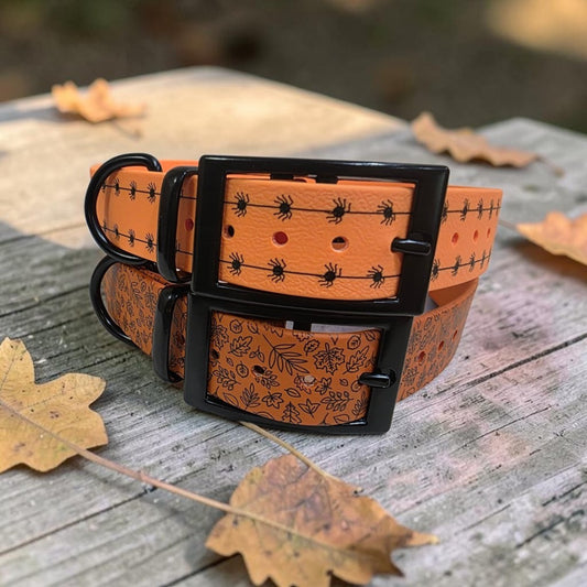 Seasonal Collar Deal - 1" Wide BioThane® Dog Collar with Black Buckle