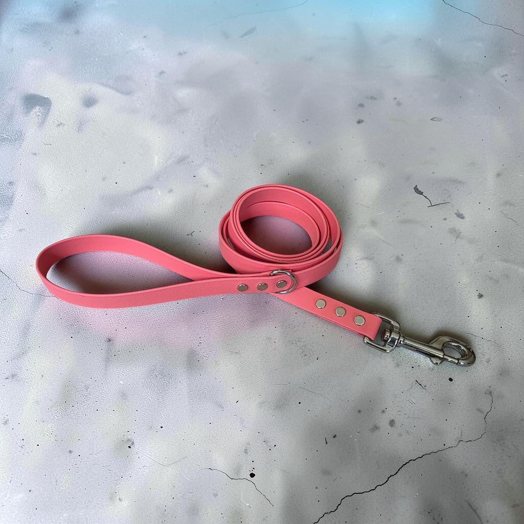 3/4" Wide BioThane® Dog Leash with Stainless Steel Hardware for Large Dogs