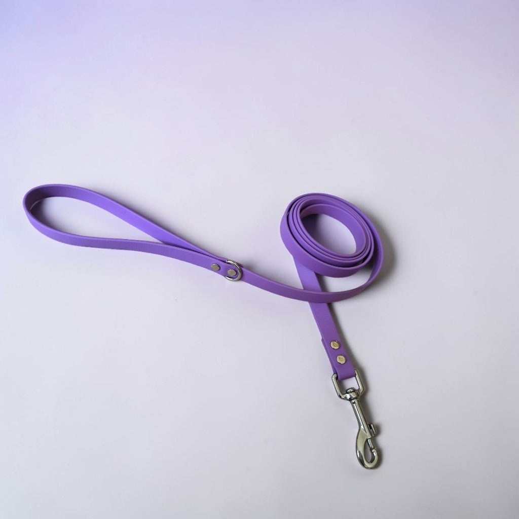 5/8" Wide BioThane® Dog Leash with Stainless Steel Hardware for Medium-Sized Dogs