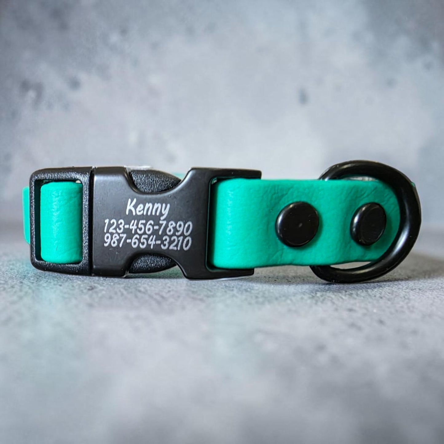 5/8" Wide Personalized Quick-Release BioThane® Dog Collar for Small Dogs